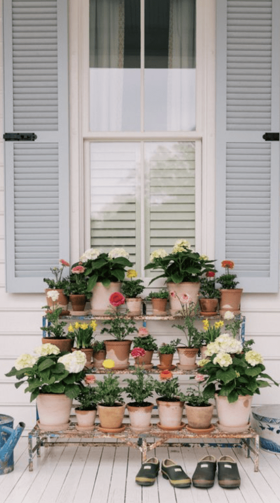 flower and plant display