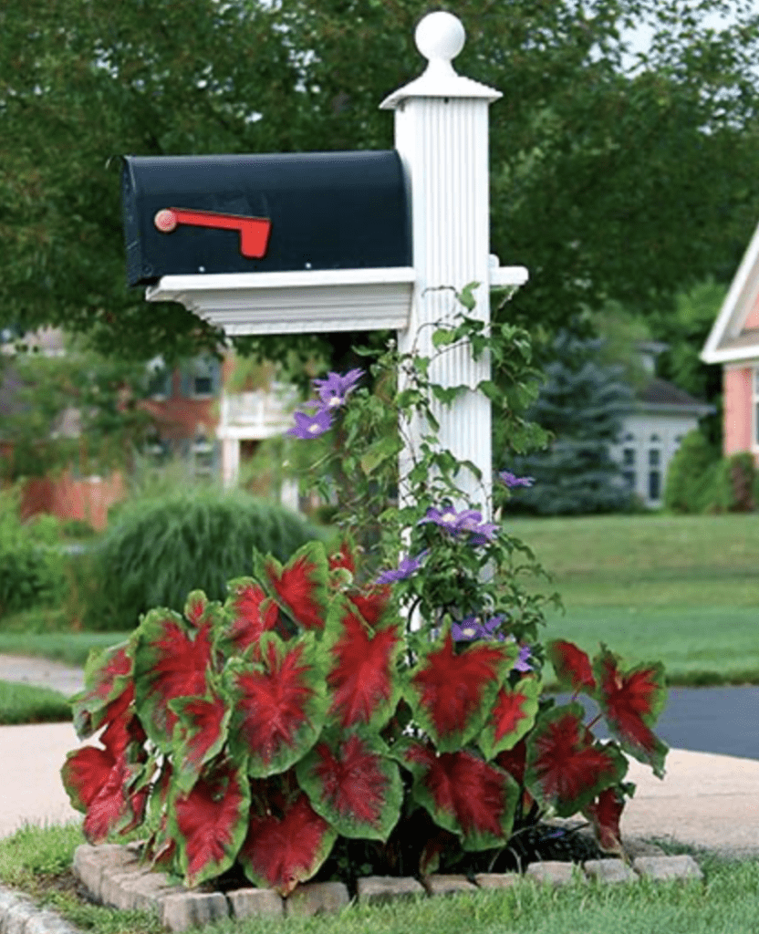 red vines that match the color of post handle