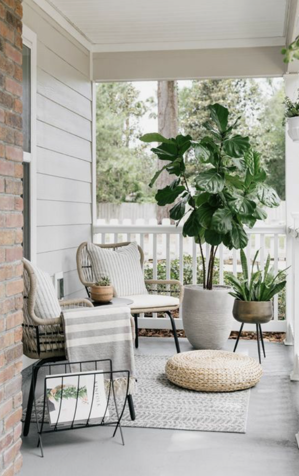 modern small front porch ideas with grey colors and deep green tall plant