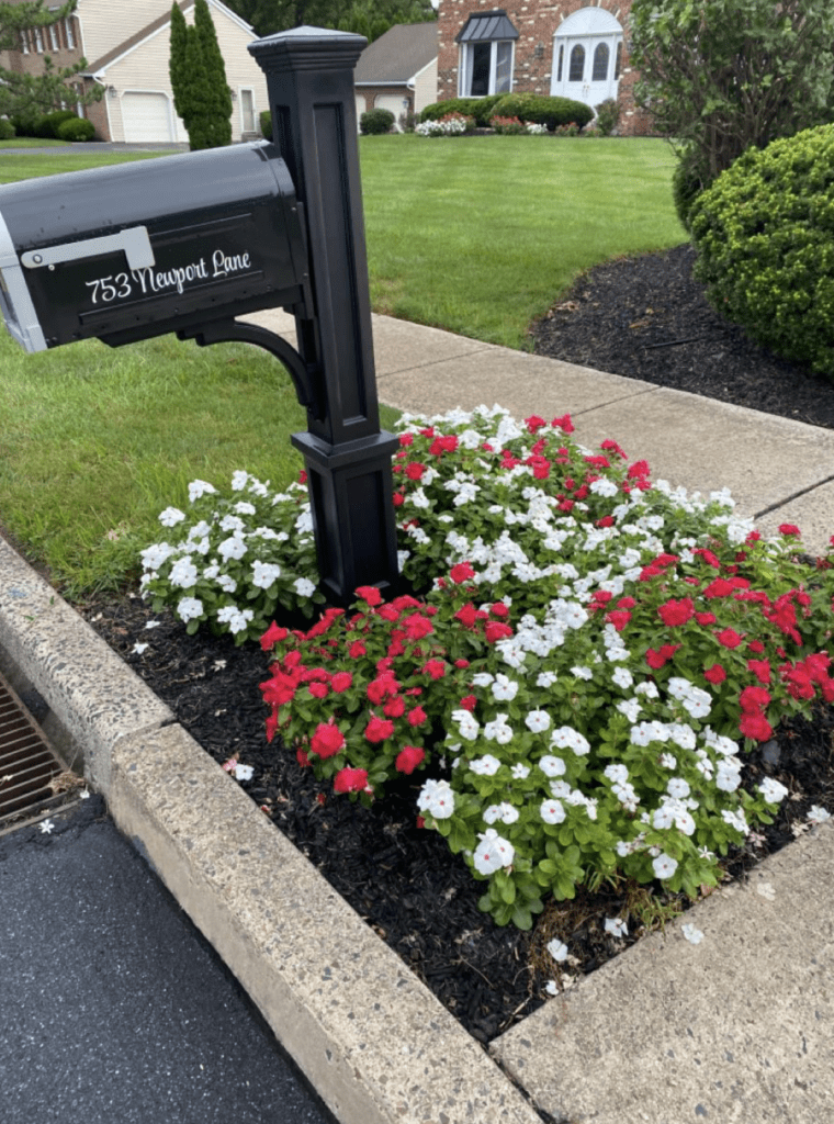 white and red flowers decorating the flower bed for classic landscaping