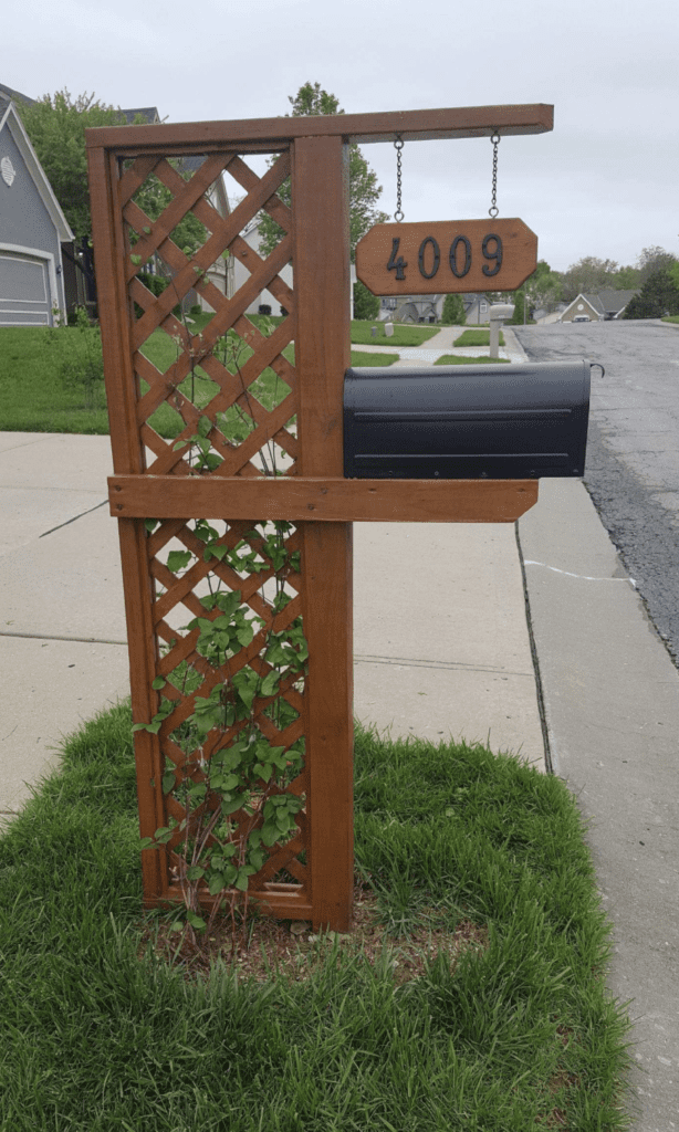 Wood structure to support vine growth around mailbox