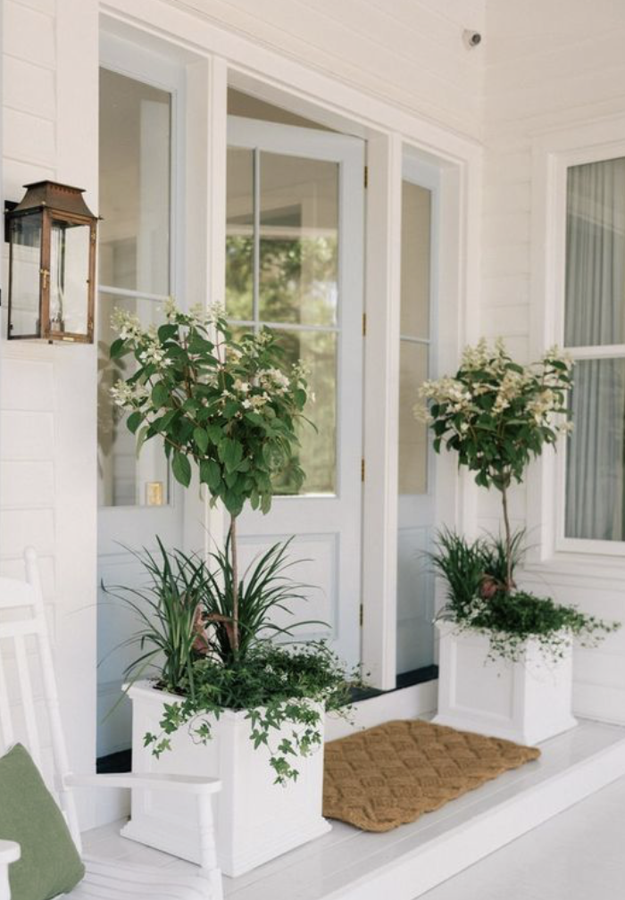 modern entrance with all-white decor