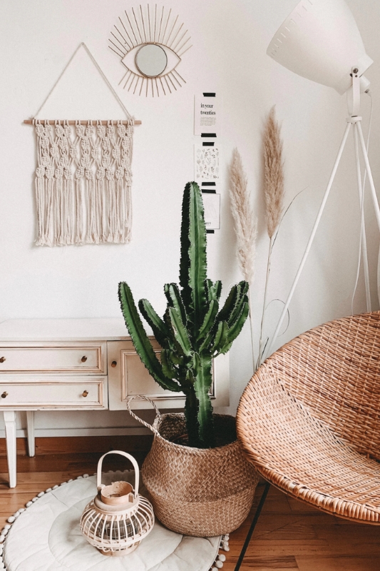 boho modern living room