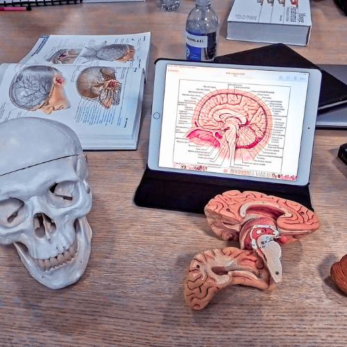 fun gifts for medical students